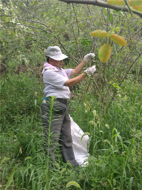 又是一个收获的季节——重庆市树上鲜食品集团浓香花椒基地今年喜获丰收！