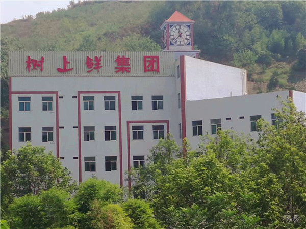 重庆市万州区人民检察院刘峰检察长一行在重庆市树上鲜食品（集团）有限公司调研、指导工作！